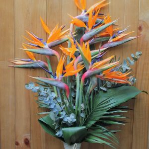 RAMO DE STRELITZIAS